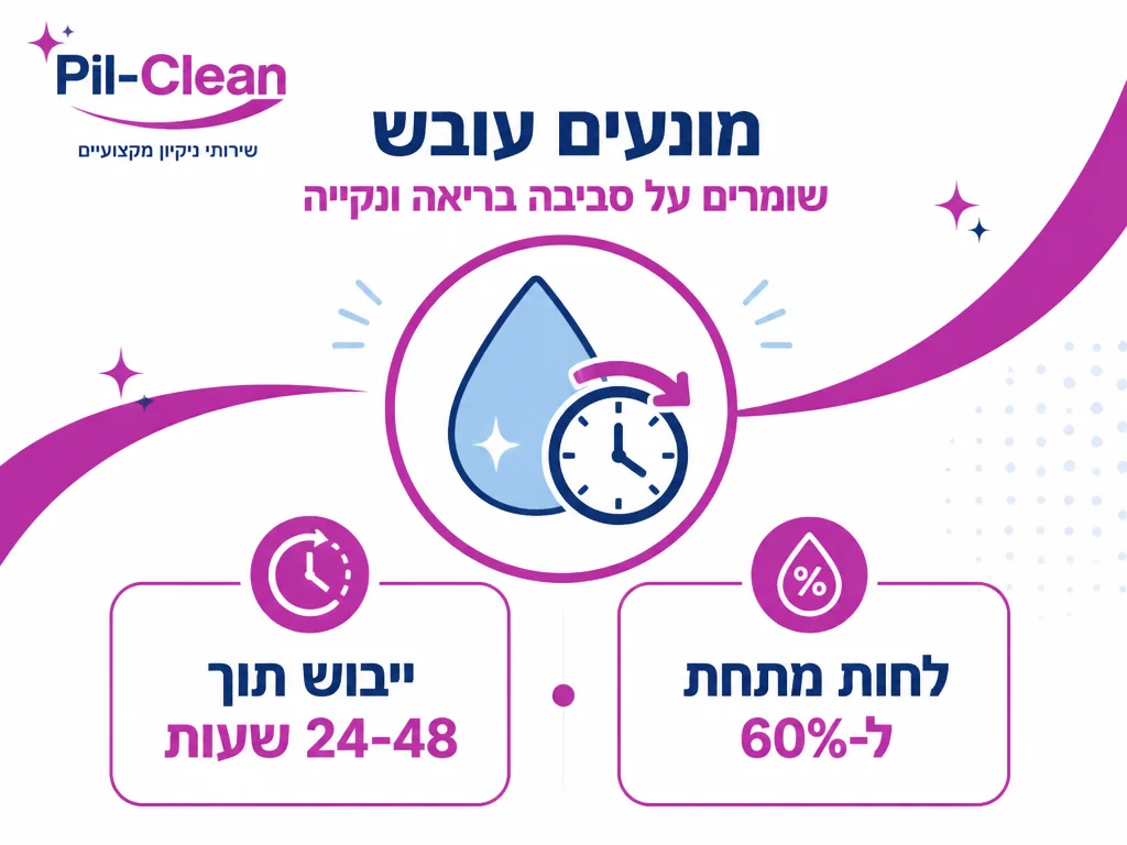 אינפוגרפיקה של עובש ונזקי מים ושיקום